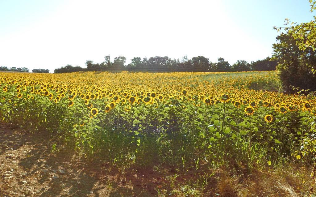 La Petite Maison Crezieres Oda fotoğraf
